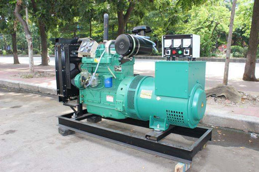 下谷坪土家族乡发电机不发电的原因